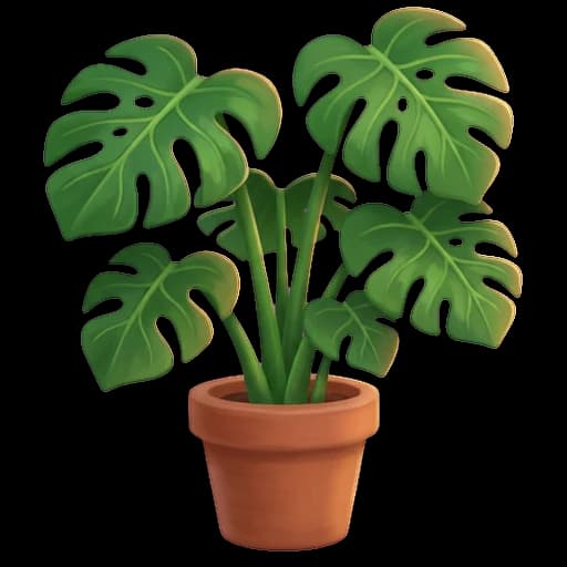 Portrait d'un monstera deliciosa, ses grandes feuilles vernissées percées de trous et fendues jusqu'au bord