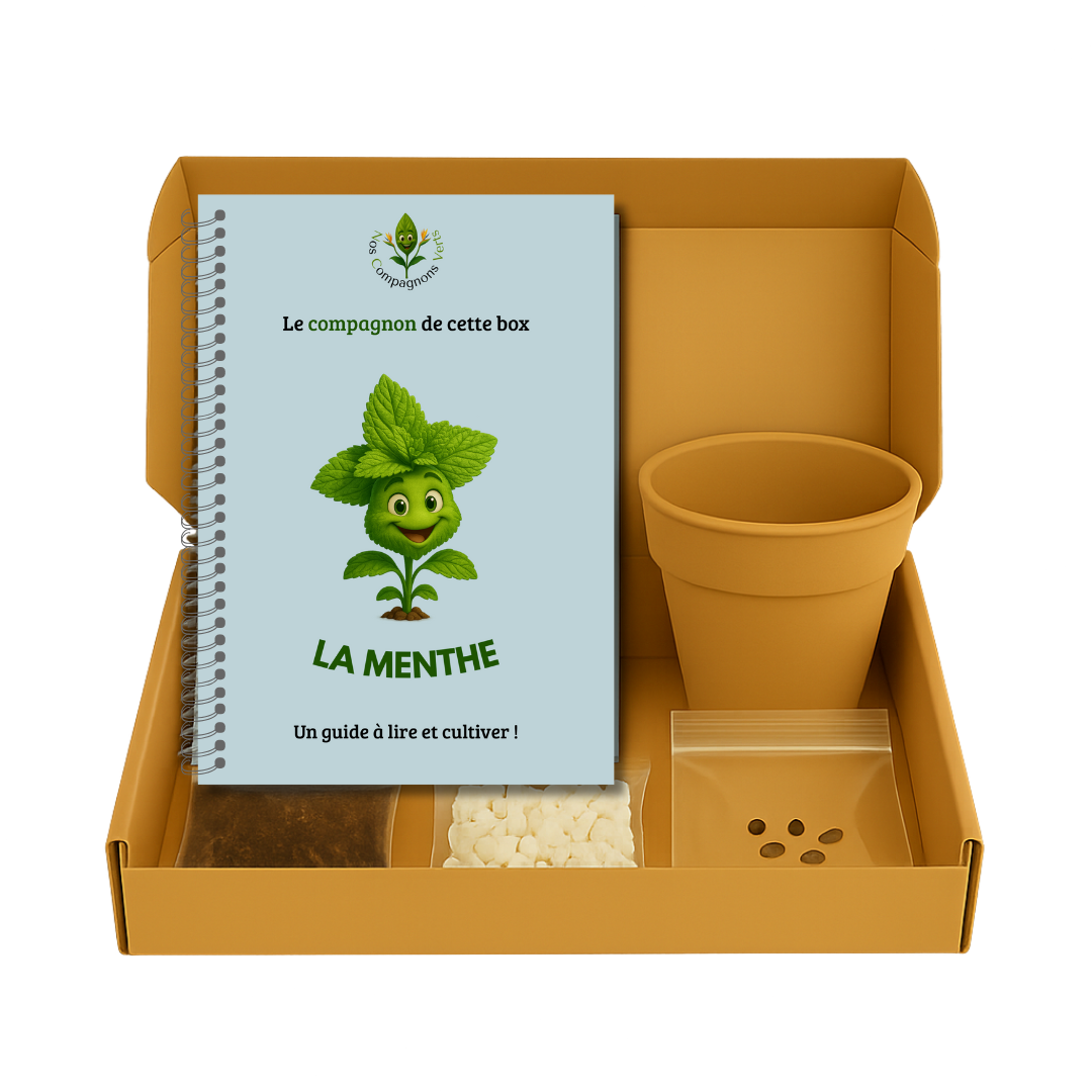 La Box Basilic