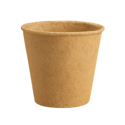 Pot de Basilic